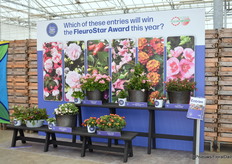 Ook de FleuroStar deelnemers werden hier getoond, zoals op meerdere locaties.